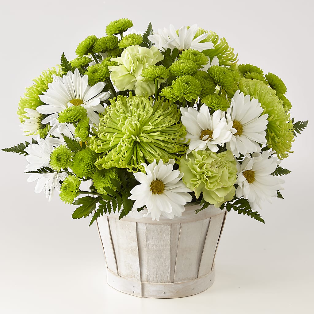 Lucky Charm Basket (Standard) – Forsberg Flowers Of Marquette Llc, Marquette MI