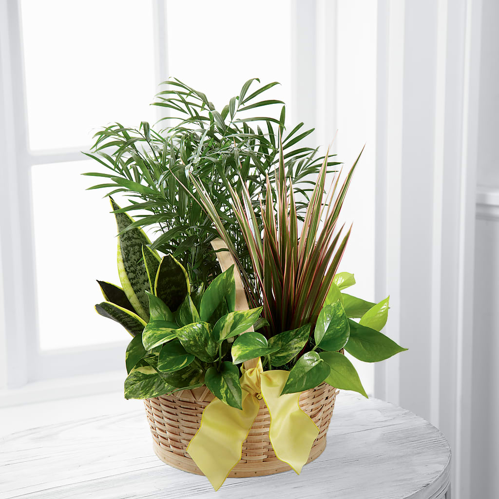 French Garden – Forsberg Flowers Of Marquette Llc, Marquette MI