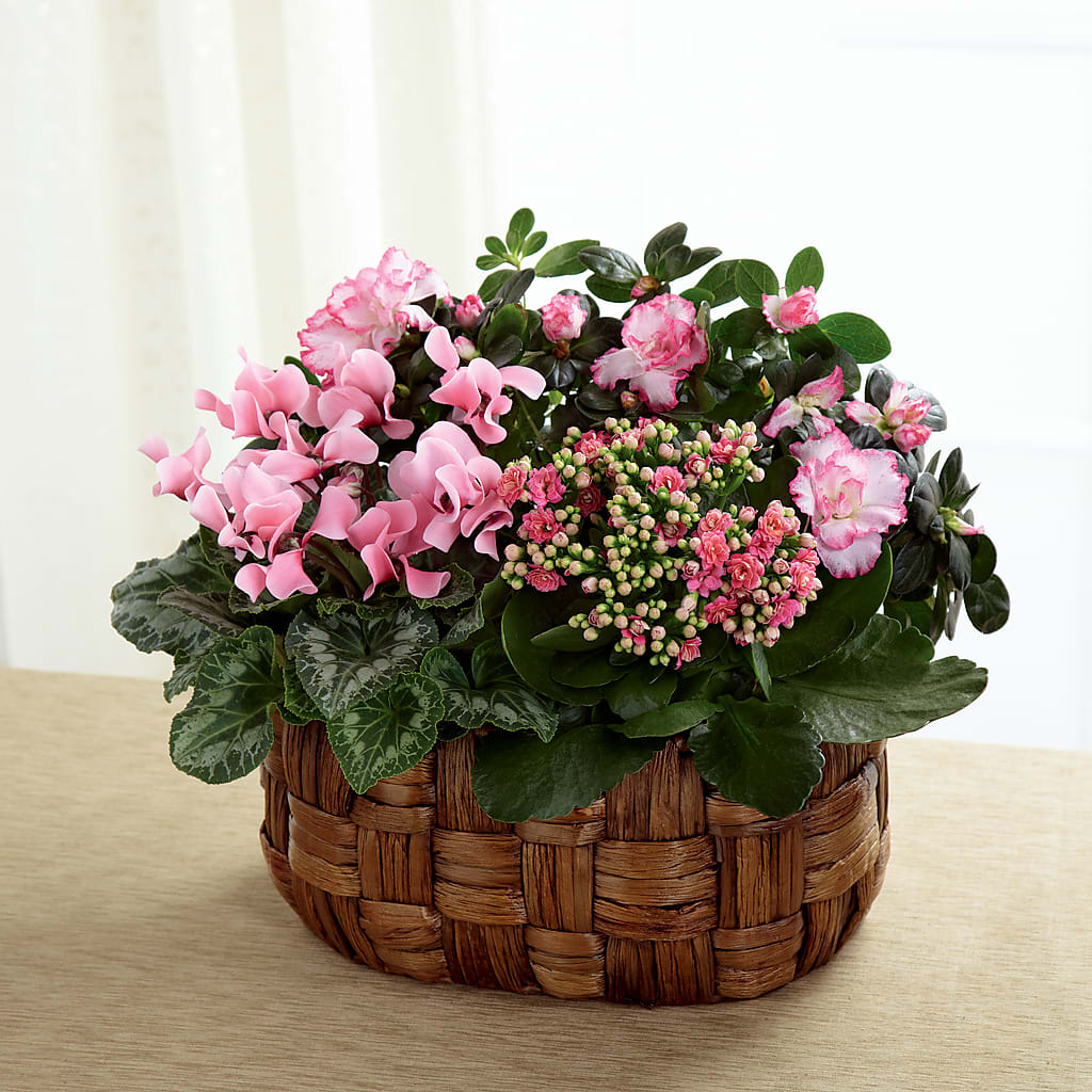 Pink Assortment – Forsberg Flowers Of Marquette Llc, Marquette MI