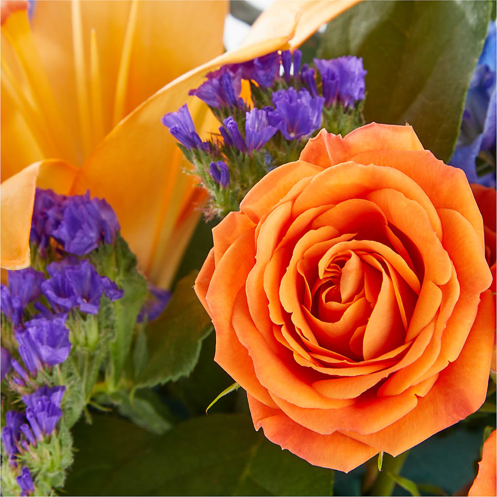 Radiant Citrus Box Bouquet – Forsberg Flowers Of Marquette Llc, Marquette MI