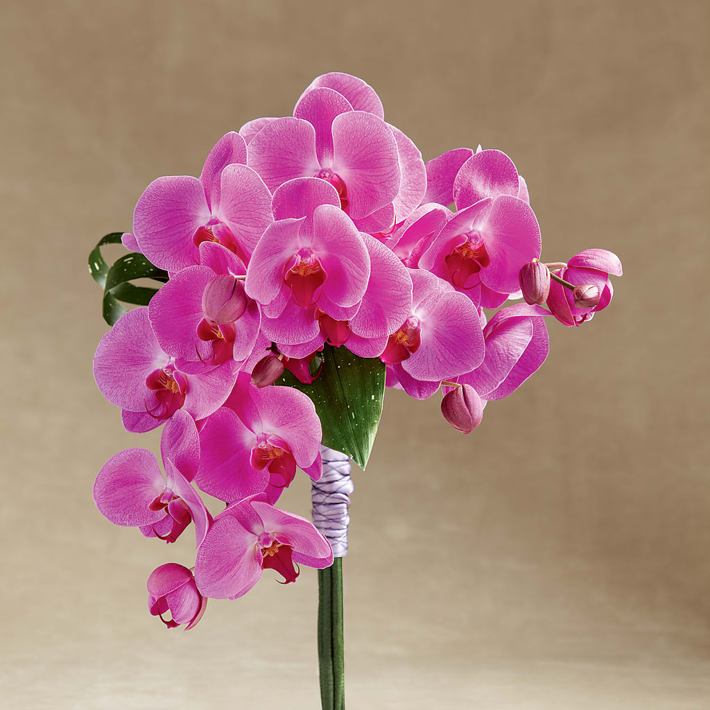 Glorious Bouquet – Forsberg Flowers Of Marquette Llc, Marquette MI