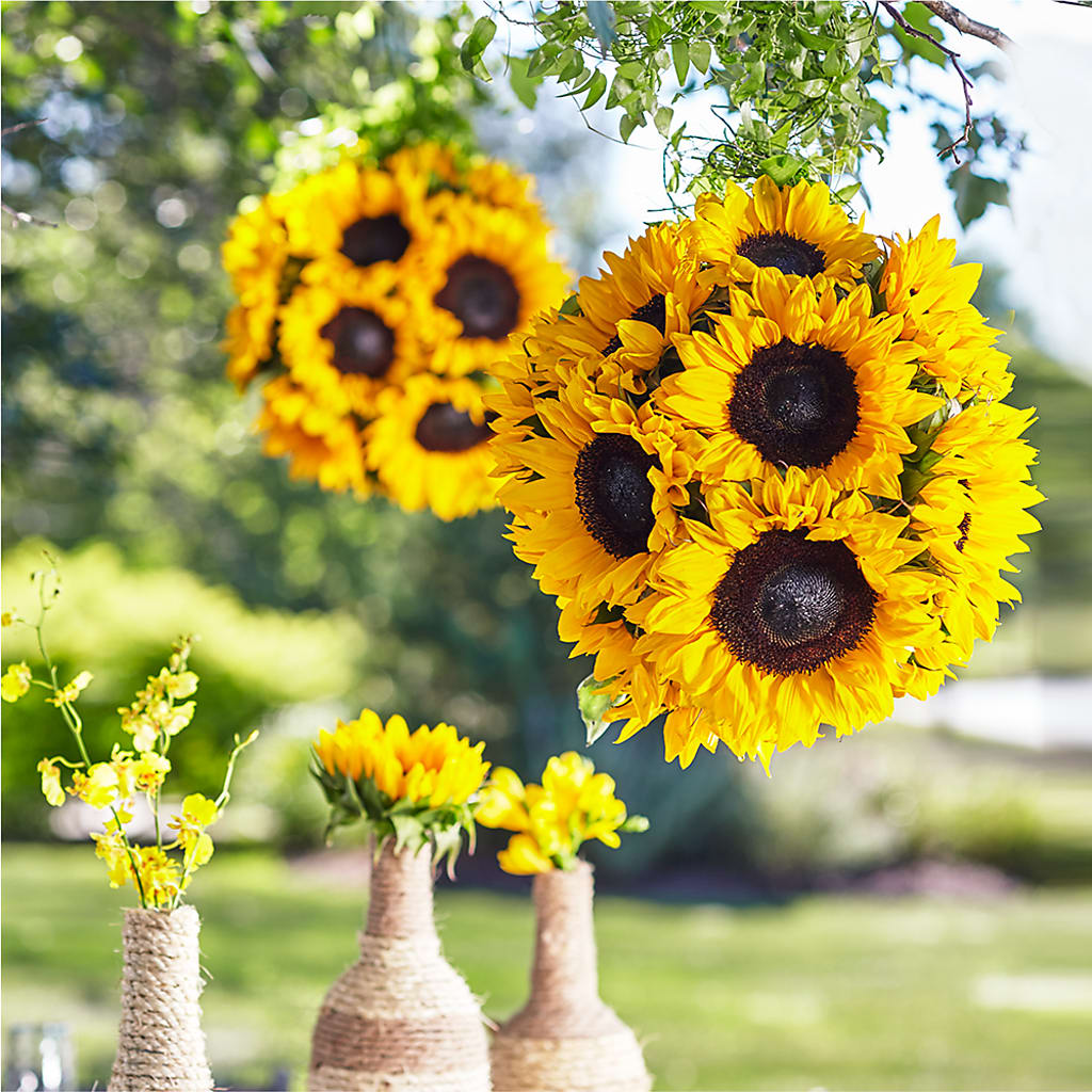 Sublime Garden Hanging Arrangement – Forsberg Flowers Of Marquette Llc, Marquette MI