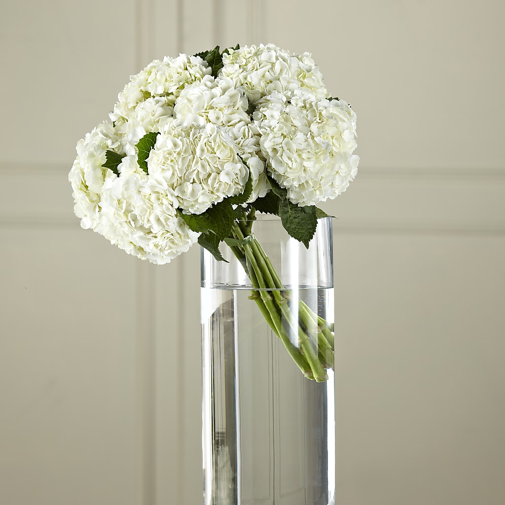 White Hydrangea Hand-Tied Bouquet – Forsberg Flowers Of Marquette Llc, Marquette MI