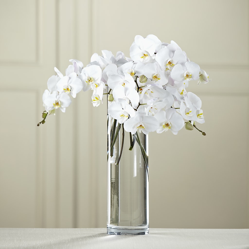 White Phalaenopsis Bouquet – Forsberg Flowers Of Marquette Llc, Marquette MI