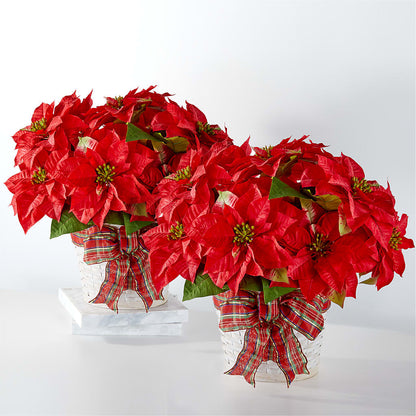Happiest Holidays Poinsettia Bundle –  Forsberg Flowers Of Marquette Llc, Marquette MI