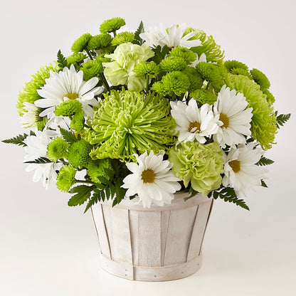 Lucky Charm Basket (Standard) –  Forsberg Flowers Of Marquette Llc, Marquette MI