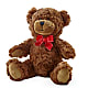 Adorable Plush Bear –  Forsberg Flowers Of Marquette Llc, Marquette MI