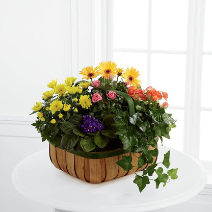 Gentle Blossoms Basket –  Forsberg Flowers Of Marquette Llc, Marquette MI