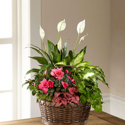 Dream in Pink Dishgarden –  Forsberg Flowers Of Marquette Llc, Marquette MI