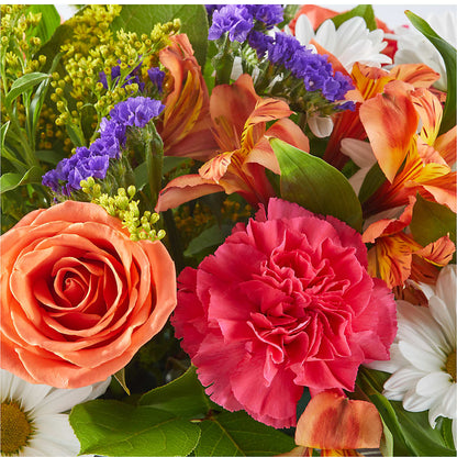 Oopsie Daisy Box Bouquet –  Forsberg Flowers Of Marquette Llc, Marquette MI