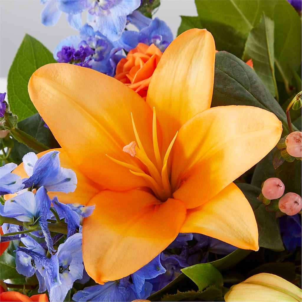 Radiant Citrus Box Bouquet –  Forsberg Flowers Of Marquette Llc, Marquette MI