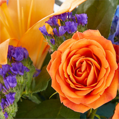 Radiant Citrus Box Bouquet –  Forsberg Flowers Of Marquette Llc, Marquette MI