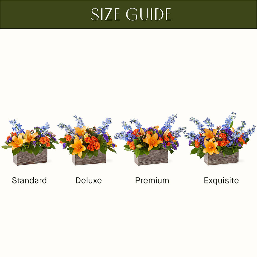 Radiant Citrus Box Bouquet –  Forsberg Flowers Of Marquette Llc, Marquette MI