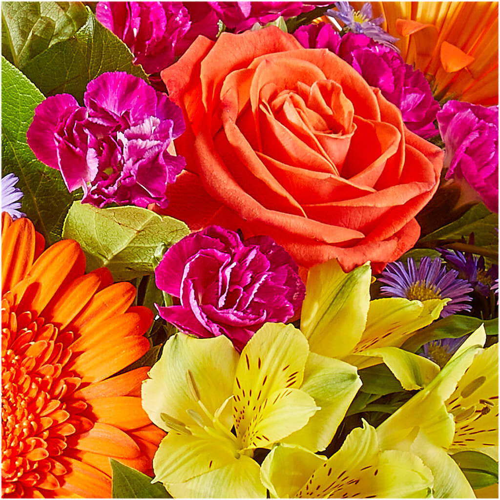 Tricks & Treats Pumpkin –  Forsberg Flowers Of Marquette Llc, Marquette MI