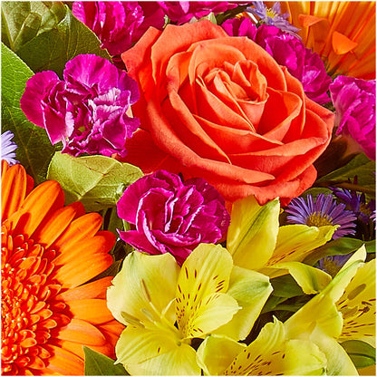 Tricks & Treats Pumpkin –  Forsberg Flowers Of Marquette Llc, Marquette MI