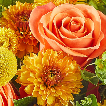 Gourdgeous Pumpkin –  Forsberg Flowers Of Marquette Llc, Marquette MI