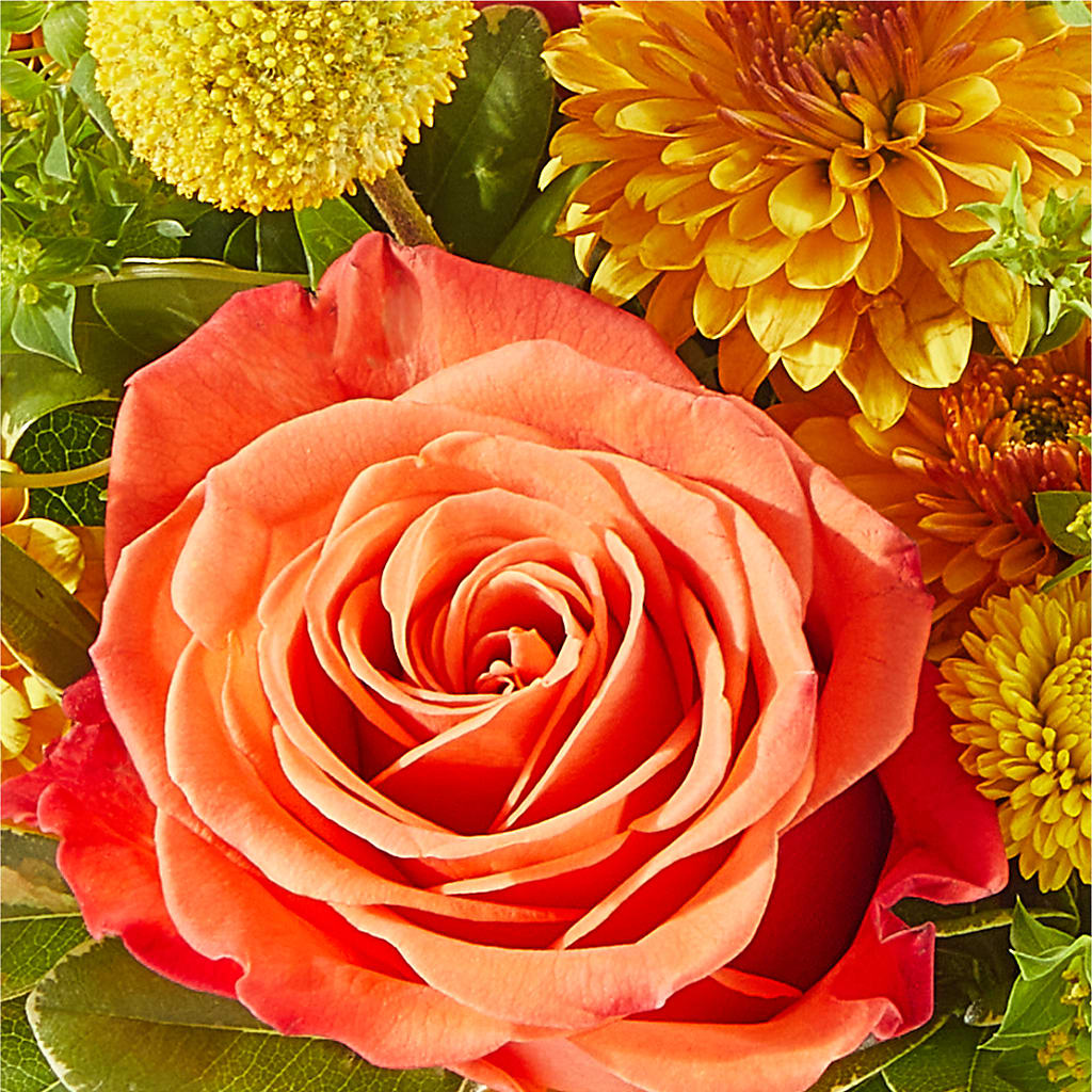 Gourdgeous Pumpkin –  Forsberg Flowers Of Marquette Llc, Marquette MI