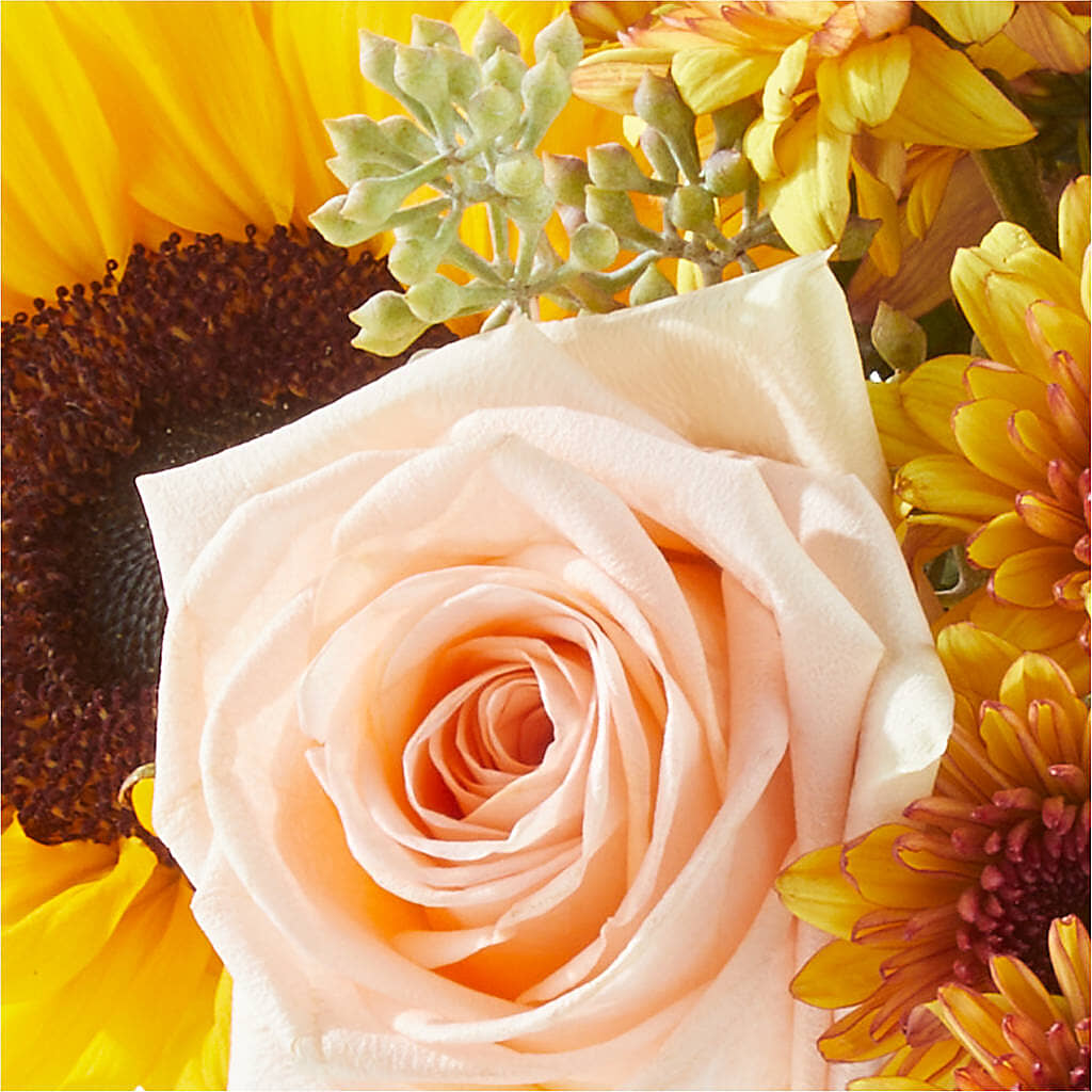 Pumpkin to Talk About Bouquet –  Forsberg Flowers Of Marquette Llc, Marquette MI