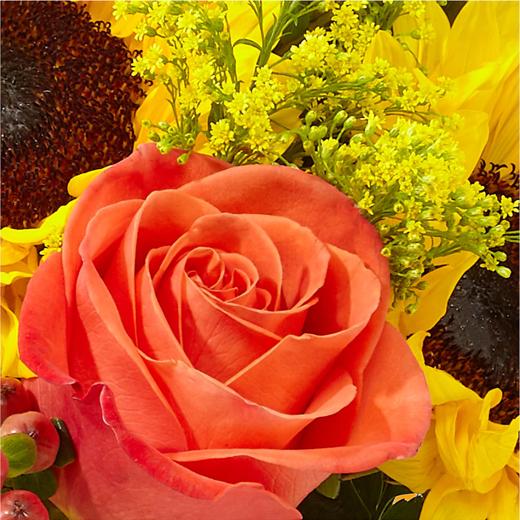 Pick of the Patch Pumpkin Bouquet –  Forsberg Flowers Of Marquette Llc, Marquette MI