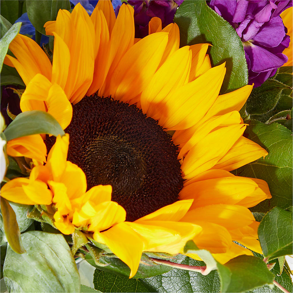 Catching Rays Bouquet –  Forsberg Flowers Of Marquette Llc, Marquette MI