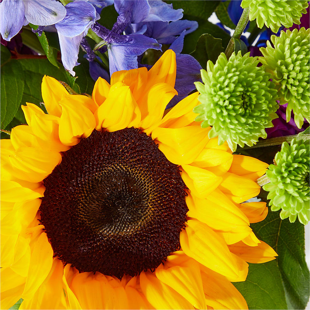 Catching Rays Bouquet –  Forsberg Flowers Of Marquette Llc, Marquette MI