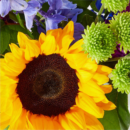 Catching Rays Bouquet –  Forsberg Flowers Of Marquette Llc, Marquette MI