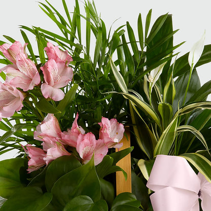 Living Spirit Dishgarden –  Forsberg Flowers Of Marquette Llc, Marquette MI