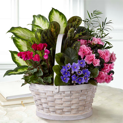 Peaceful Garden Planter –  Forsberg Flowers Of Marquette Llc, Marquette MI