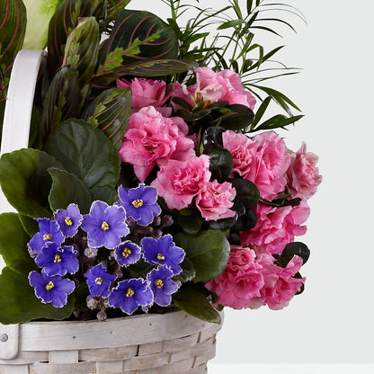 Peaceful Garden Planter –  Forsberg Flowers Of Marquette Llc, Marquette MI