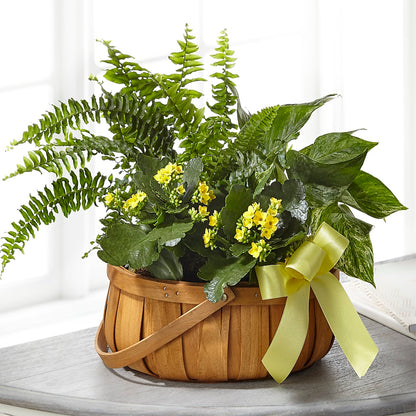 Always Dear Dishgarden –  Forsberg Flowers Of Marquette Llc, Marquette MI