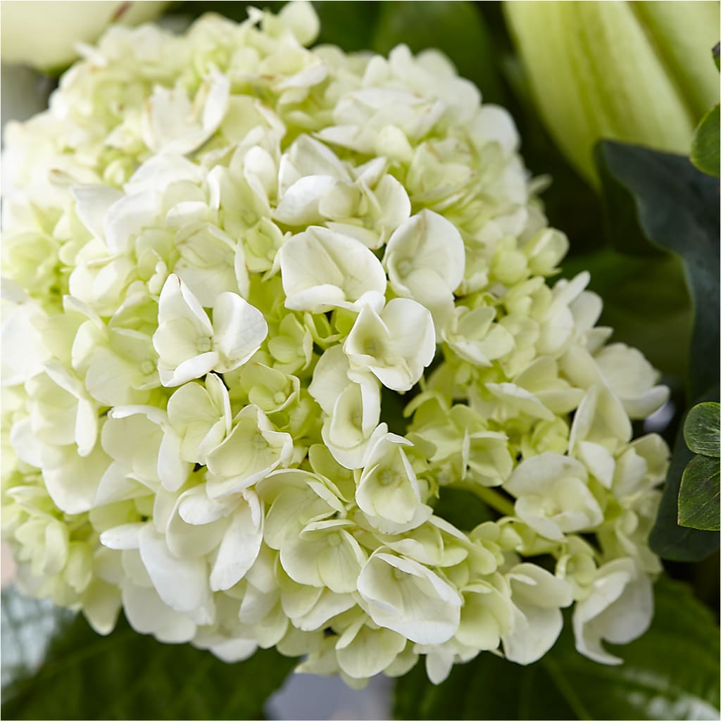 Classic Ivory – A Florist Original –  Forsberg Flowers Of Marquette Llc, Marquette MI