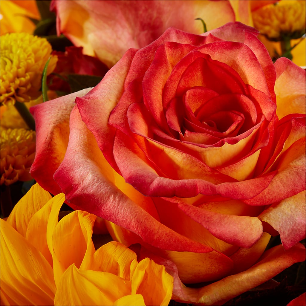 Picnic in the Park Bouquet –  Forsberg Flowers Of Marquette Llc, Marquette MI