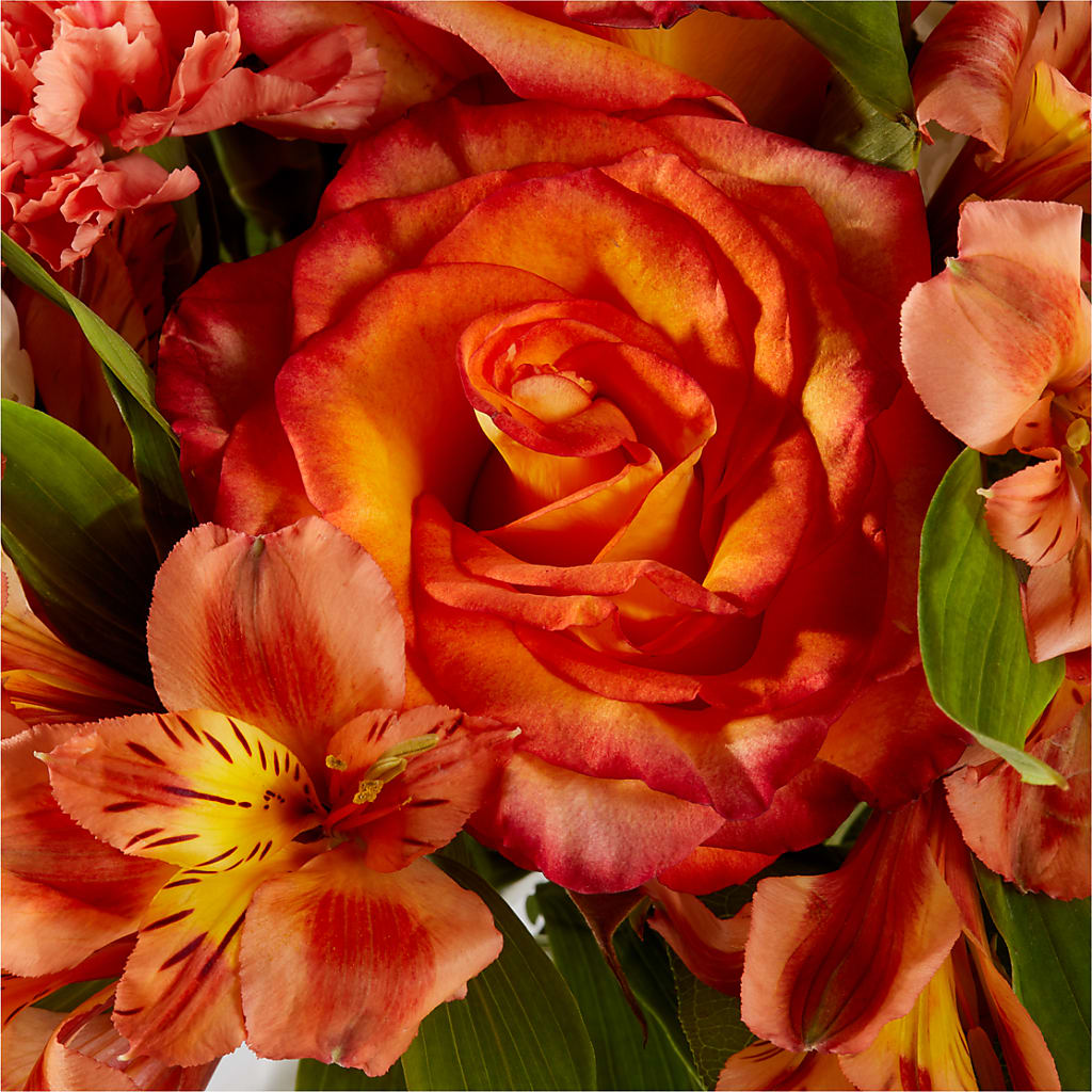 Apricot Glow Bouquet –  Forsberg Flowers Of Marquette Llc, Marquette MI