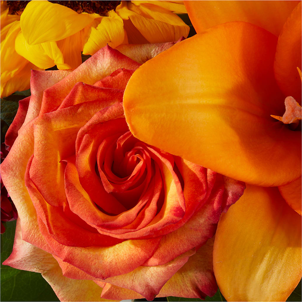 Grateful Centerpiece –  Forsberg Flowers Of Marquette Llc, Marquette MI