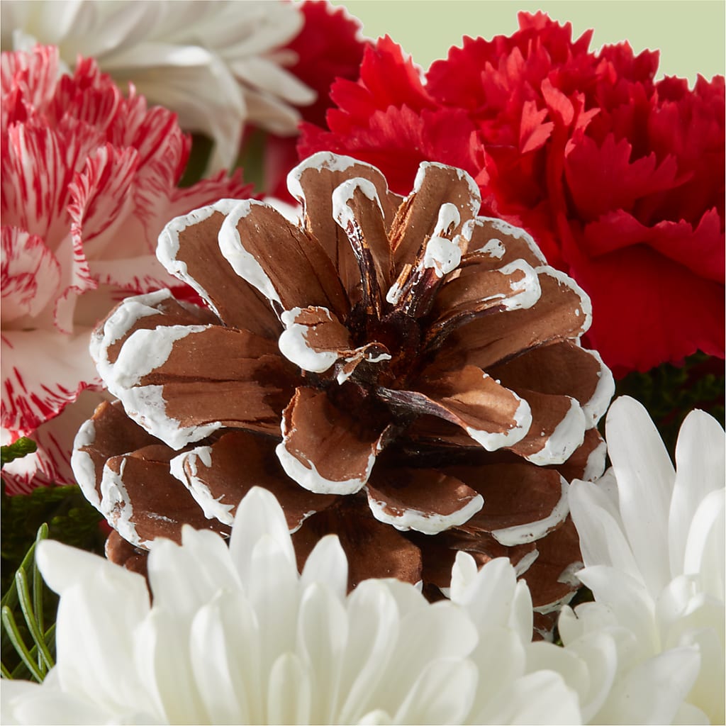 Candy Cane Lane Bouquet –  Forsberg Flowers Of Marquette Llc, Marquette MI