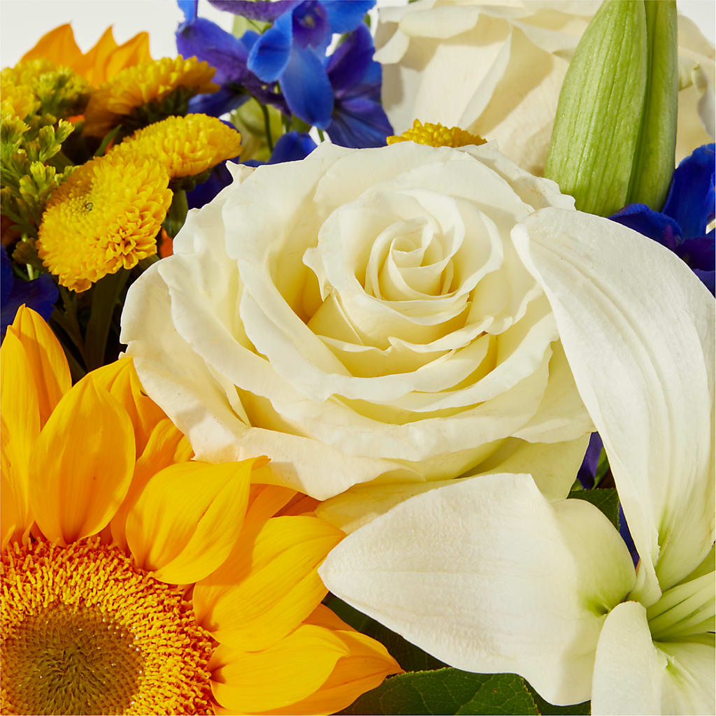 Stargazing Bouquet –  Forsberg Flowers Of Marquette Llc, Marquette MI
