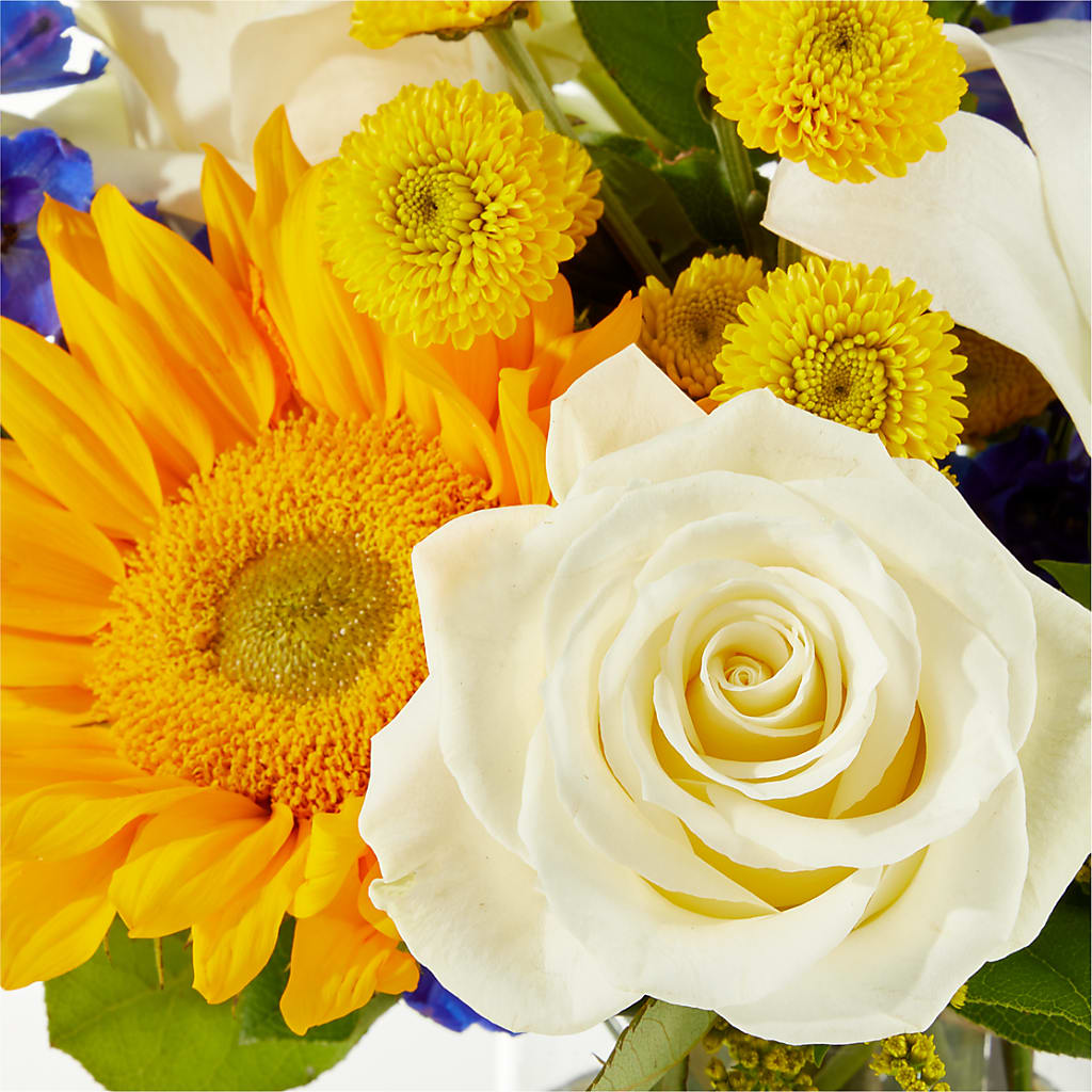Stargazing Bouquet –  Forsberg Flowers Of Marquette Llc, Marquette MI