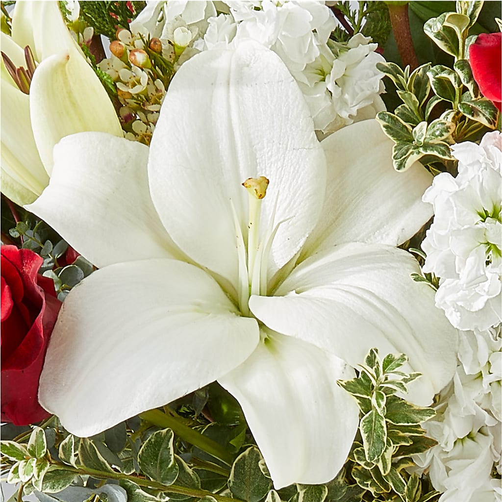 Twinkle Lights Bouquet –  Forsberg Flowers Of Marquette Llc, Marquette MI