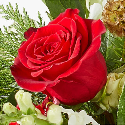 Deck the Halls Bouquet –  Forsberg Flowers Of Marquette Llc, Marquette MI