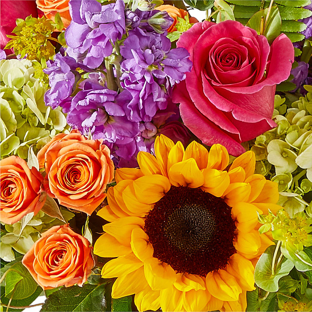 Vibrant Greetings Bouquet –  Forsberg Flowers Of Marquette Llc, Marquette MI