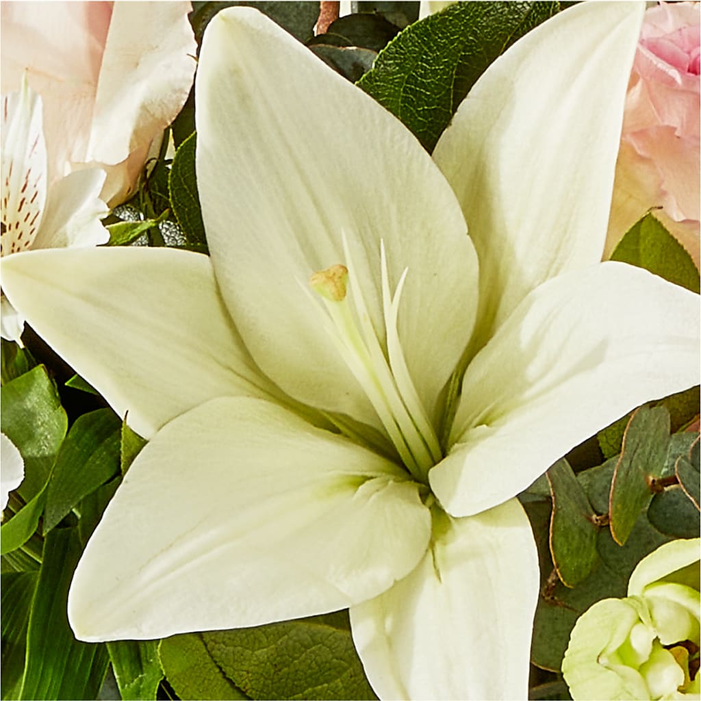 Ballet Slippers Bouquet –  Forsberg Flowers Of Marquette Llc, Marquette MI