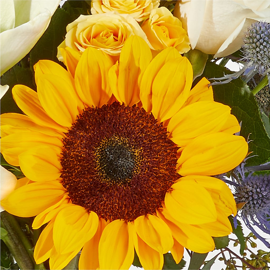 Wonderfully Sunny Bouquet –  Forsberg Flowers Of Marquette Llc, Marquette MI