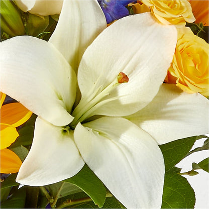 Wonderfully Sunny Bouquet –  Forsberg Flowers Of Marquette Llc, Marquette MI