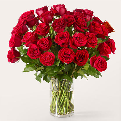 The One Red Rose Bouquet –  Forsberg Flowers Of Marquette Llc, Marquette MI