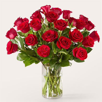 The One Red Rose Bouquet –  Forsberg Flowers Of Marquette Llc, Marquette MI