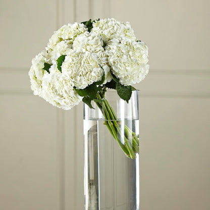 White Hydrangea Hand-Tied Bouquet –  Forsberg Flowers Of Marquette Llc, Marquette MI