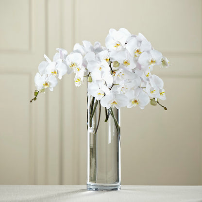 White Phalaenopsis Bouquet –  Forsberg Flowers Of Marquette Llc, Marquette MI